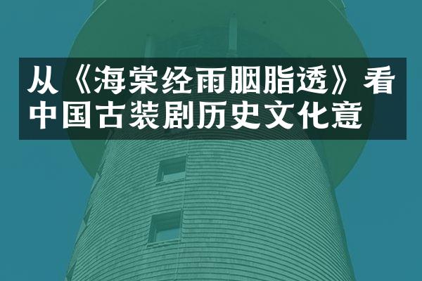 从《海棠经雨胭脂透》看中国古装剧历史文化意义