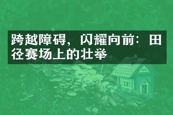 跨越障碍，闪耀向前：田径赛场上的壮举