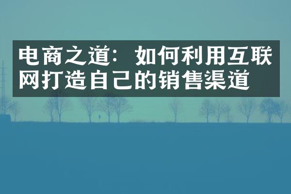 电商之道：如何利用互联网打造自己的销售渠道？