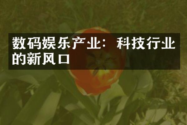 数码娱乐产业：科技行业的新风口