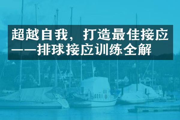 超越自我，打造最佳接应——排球接应训练全解析