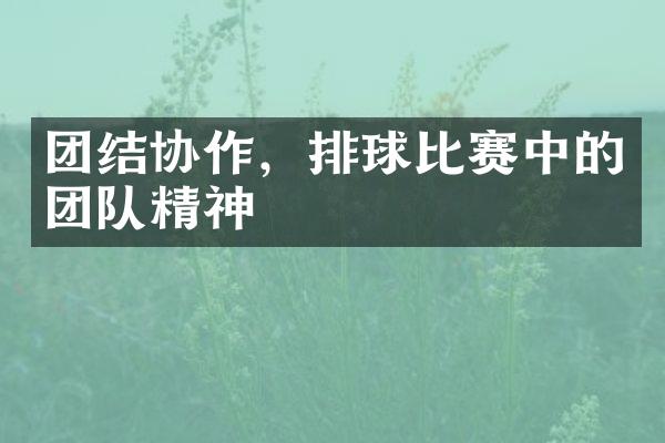 团结协作，排球比赛中的团队精神