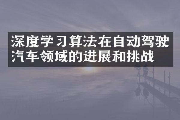 深度学习算法在自动驾驶汽车领域的进展和挑战