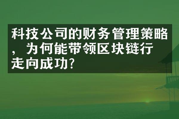 科技公司的财务管理策略，为何能带领区块链行业走向成功？