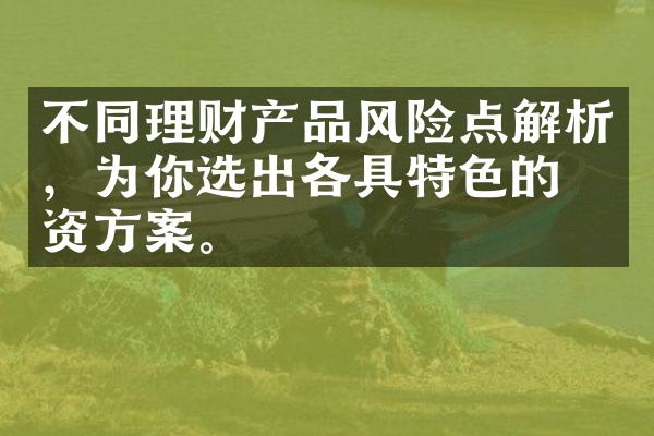 不同理财产品风险点解析，为你选出各具特色的投资方案。