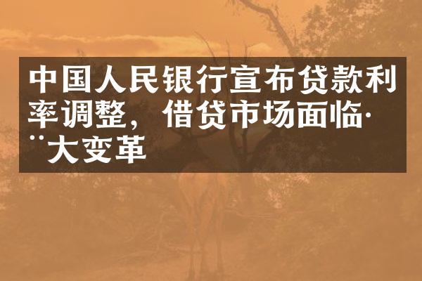 中国人民银行宣布贷款利率调整，借贷市场面临巨大变革