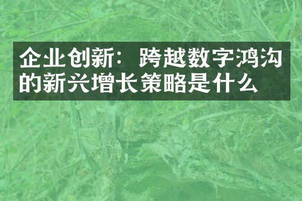 企业创新：跨越数字鸿沟的新兴增长策略是什么？