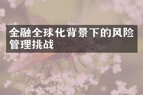 金融全球化背景下的风险管理挑战