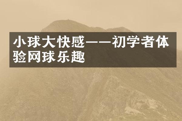 小球大快感——初学者体验网球乐趣