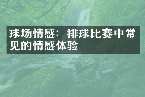 球场情感：排球比赛中常见的情感体验