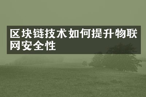 区块链技术如何提升物联网安全性