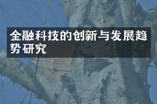 金融科技的创新与发展趋势研究