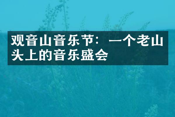 观音山音乐节：一个老山头上的音乐盛会