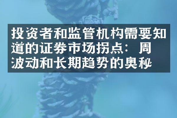 投资者和监管机构需要知道的证券市场拐点：周期波动和长期趋势的奥秘