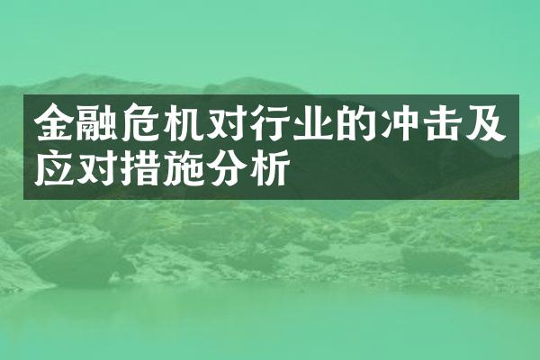 金融危机对行业的冲击及应对措施分析