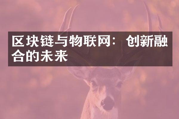 区块链与物联网：创新融合的未来