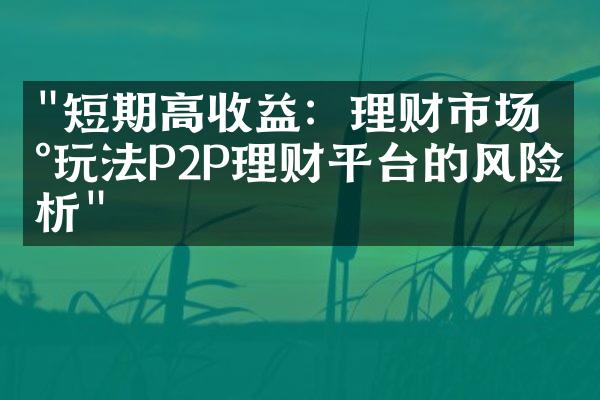 "短期高收益：理财市场新玩法P2P理财平台的风险分析"