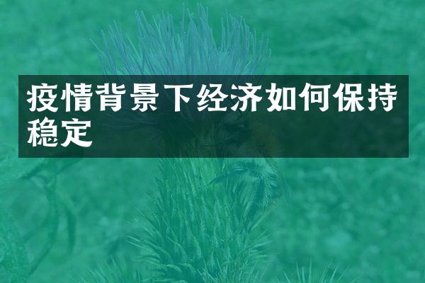 疫情背景下经济如何保持稳定