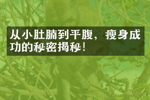 从小肚腩到平腹，瘦身成功的秘密揭秘！