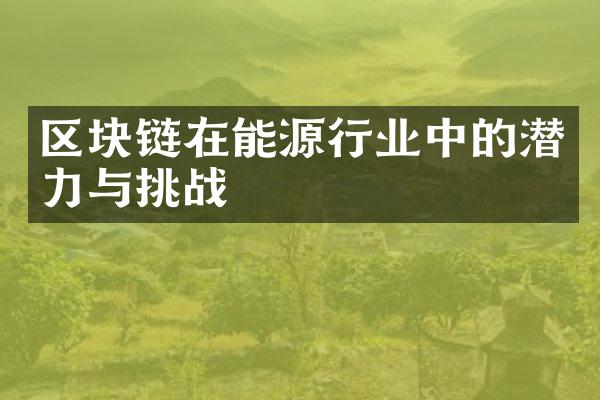 区块链在能源行业中的潜力与挑战