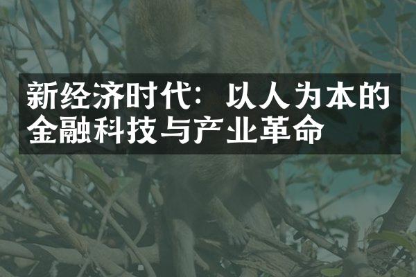 新经济时代：以人为本的金融科技与产业革命