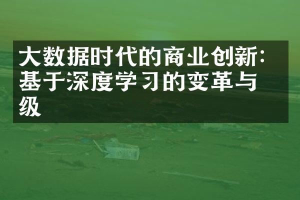 大数据时代的商业创新：基于深度学习的变革与升级