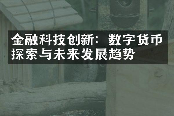 金融科技创新：数字货币探索与未来发展趋势