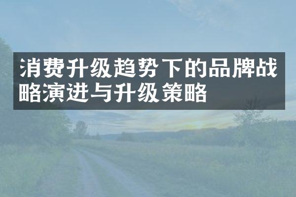 消费升级趋势下的品牌战略演进与升级策略