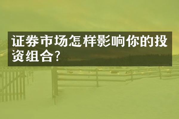 证券市场怎样影响你的投资组合？