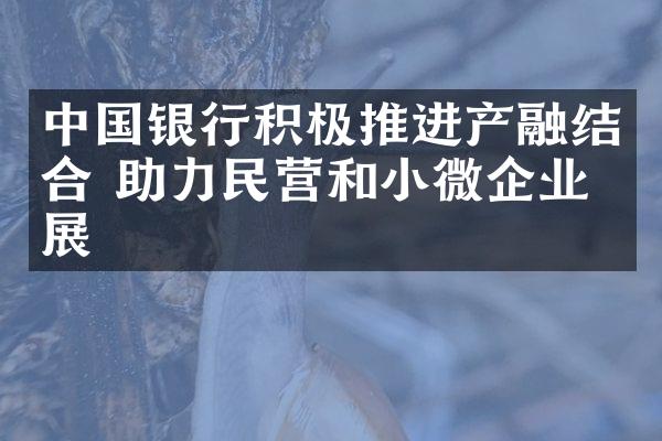 中国银行积极推进产融结合 助力民营和小微企业发展