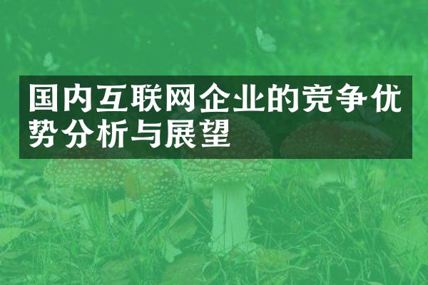 国内互联网企业的竞争优势分析与展望