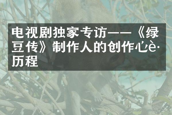 电视剧独家专访——《绿豆传》制作人的创作心路历程