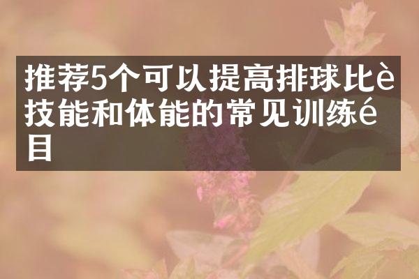 推荐5个可以提高排球比赛技能和体能的常见训练项目