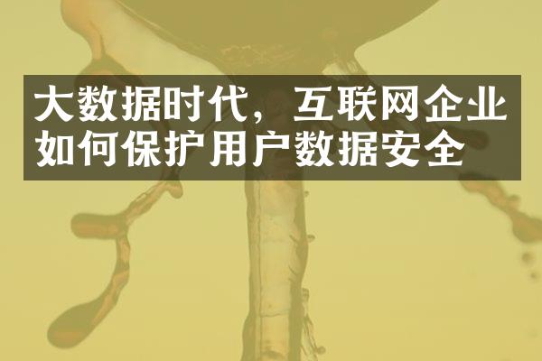 大数据时代，互联网企业如何保护用户数据安全？