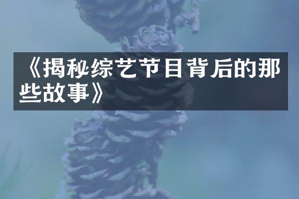 《揭秘综艺节目背后的那些故事》