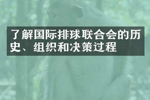 了解国际排球联合会的历史、组织和决策过程