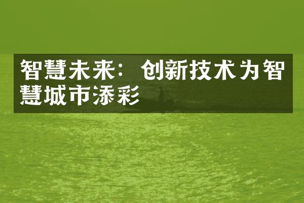 智慧未来：创新技术为智慧城市添彩