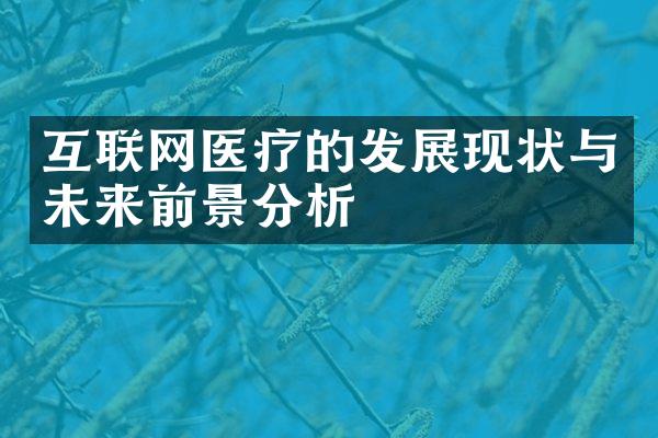 互联网医疗的发展现状与未来前景分析