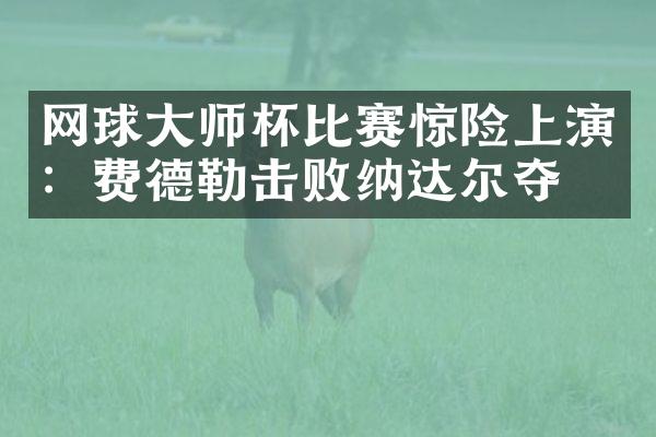 网球大师杯比赛惊险上演：费德勒击败纳达尔夺冠