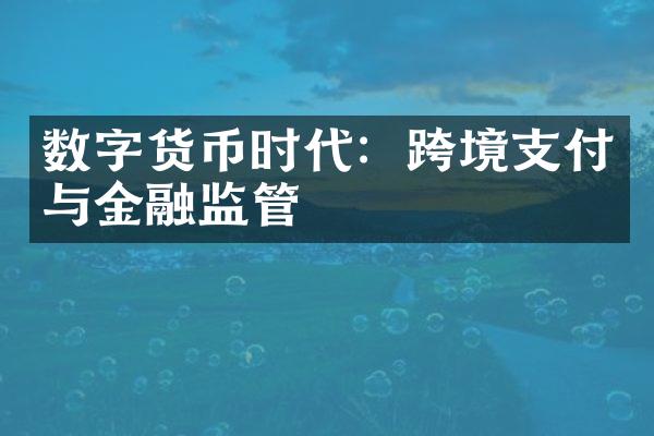 数字货币时代：跨境支付与金融监管