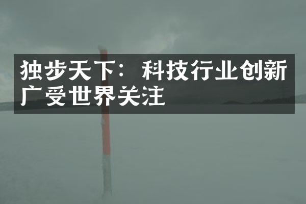 独步天下：科技行业创新广受世界关注