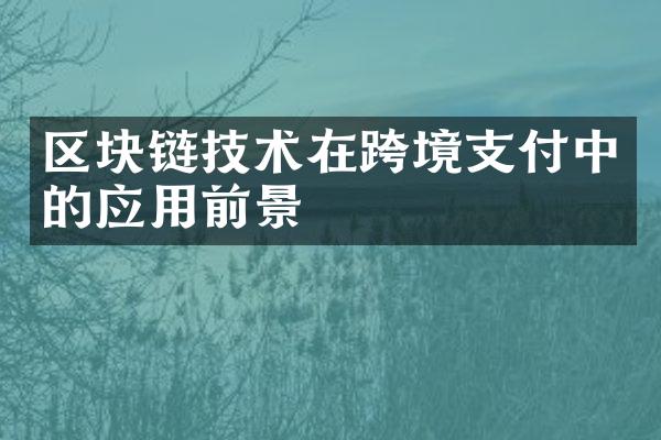 区块链技术在跨境支付中的应用前景