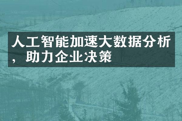 人工智能加速大数据分析，助力企业决策