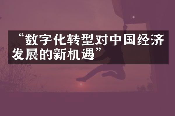 “数字化转型对中国经济发展的新机遇”