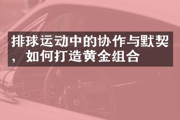 排球运动中的协作与默契，如何打造黄金组合