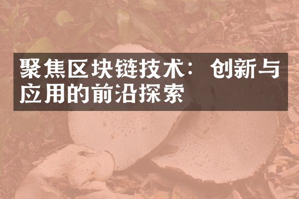 聚焦区块链技术：创新与应用的前沿探索