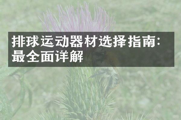 排球运动器材选择指南：最全面详解