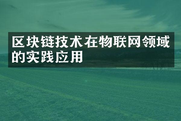 区块链技术在物联网领域的实践应用