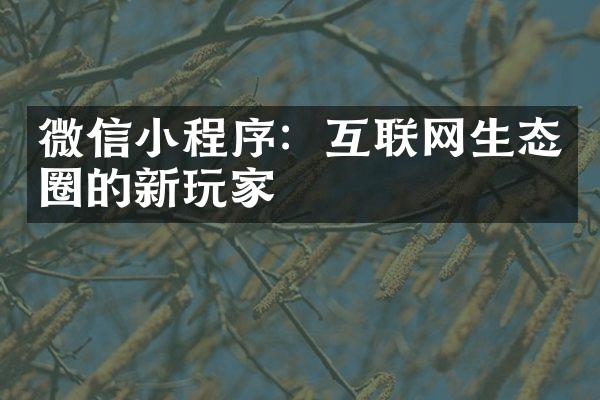 微信小程序：互联网生态圈的新玩家