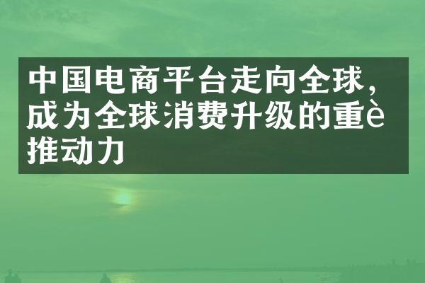 中国电商平台走向全球，成为全球消费升级的重要推动力